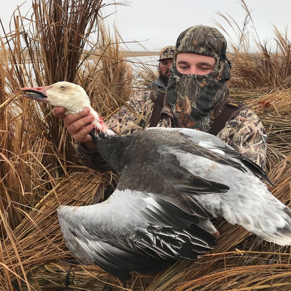 Bootheel Rice / Timber Hunt In Hornersville