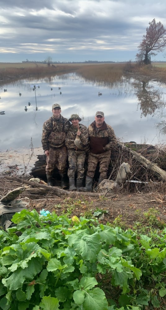 Hornersville, Missouri Duck Hunts In Hornersville