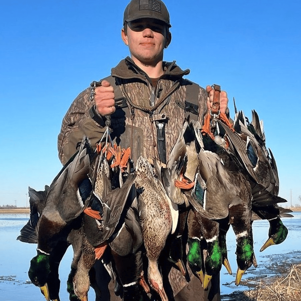 Hornersville, Missouri Duck Hunts In Hornersville