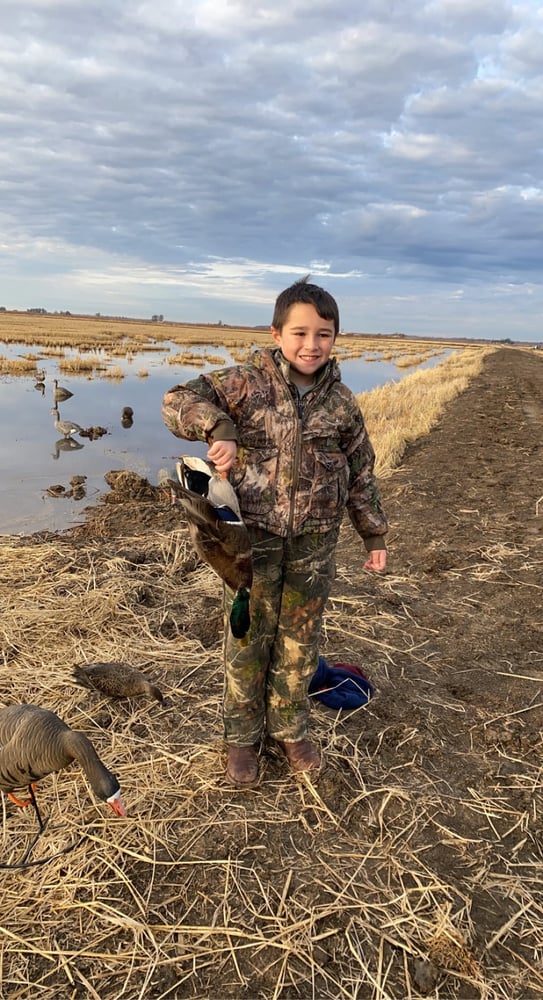 Hornersville, Missouri Duck Hunts In Hornersville