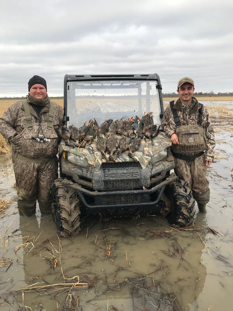 Hornersville, Missouri Duck Hunts In Hornersville