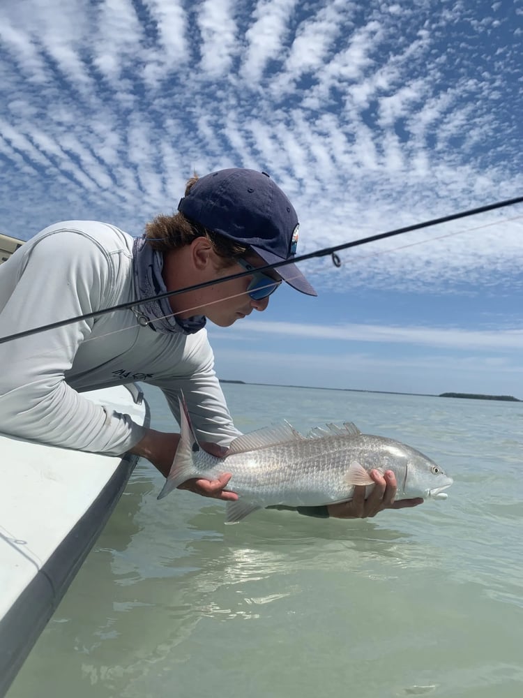 Everglades Fishing Trip In Homestead