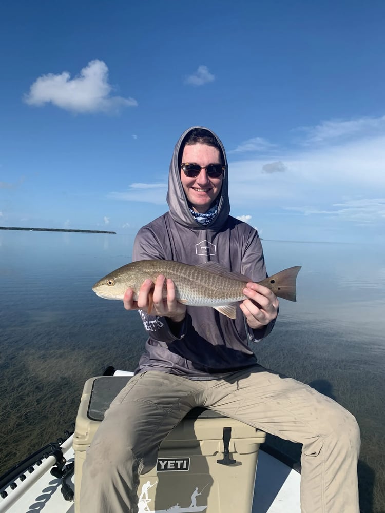 Everglades Fishing Trip In Homestead