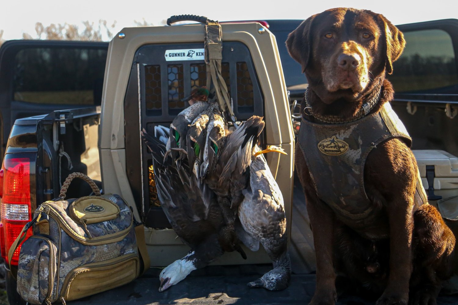 Deering, Missouri Duck Hunts In Deering