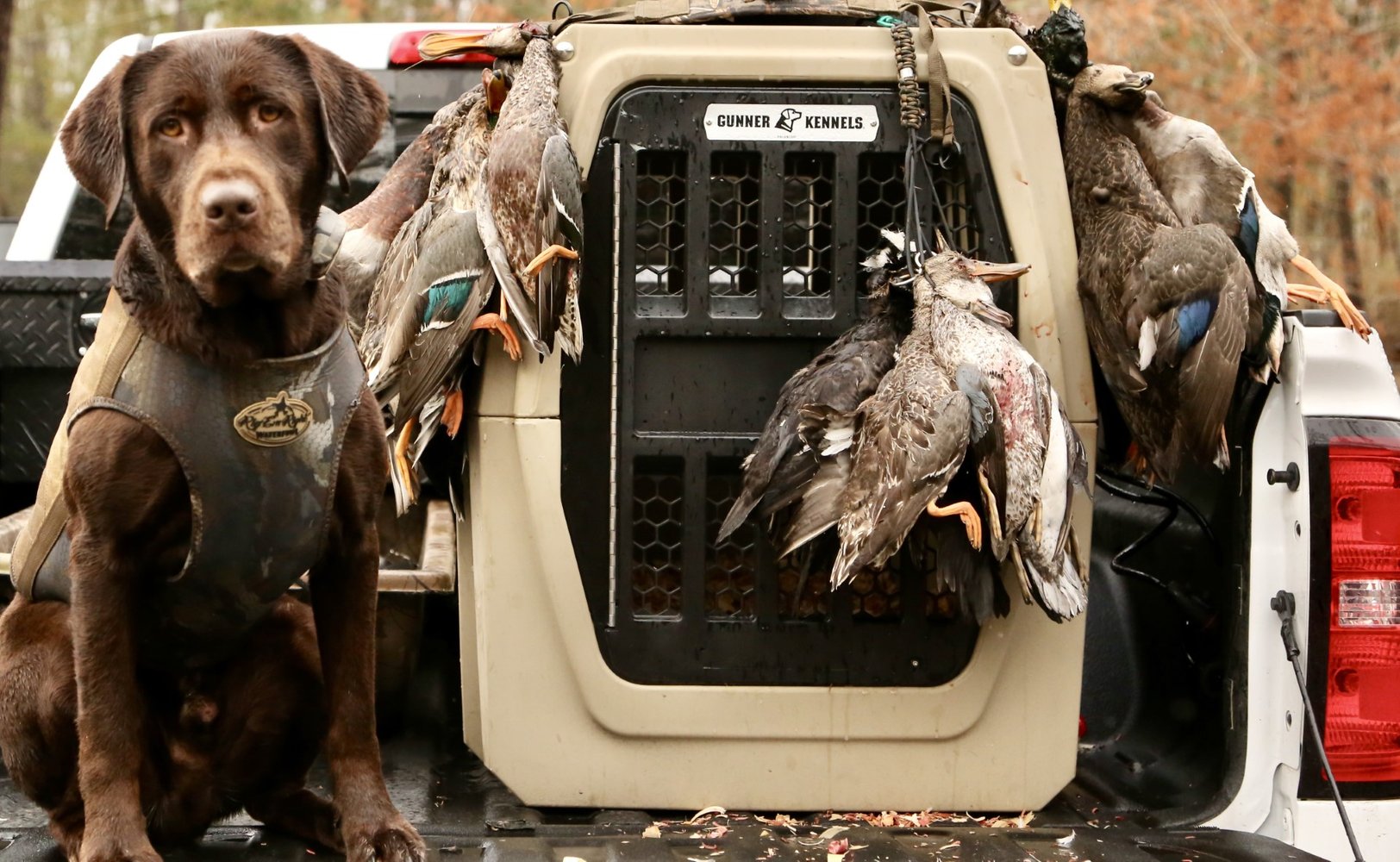 Deering, Missouri Duck Hunts In Deering