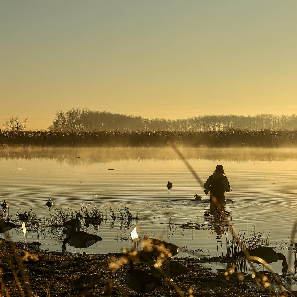 Deering, Missouri Goose Hunt In Deering