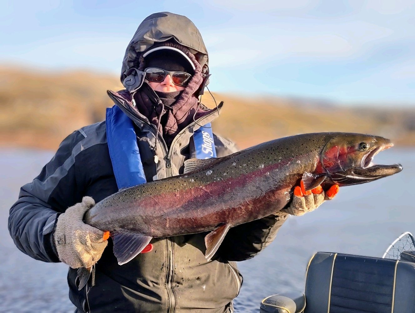 Tri Cities Fall Chinook In Richland