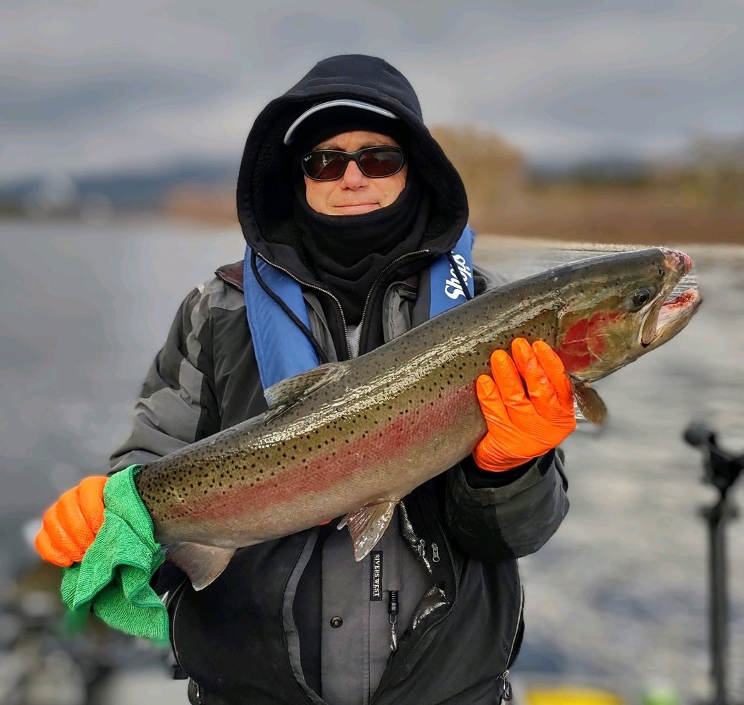 Ringold/Hanford Reach Fall Chinook In Mesa