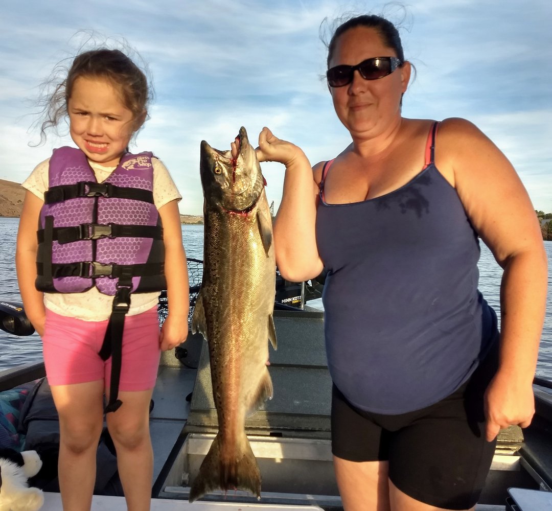 Tri Cities Fall Chinook In Richland