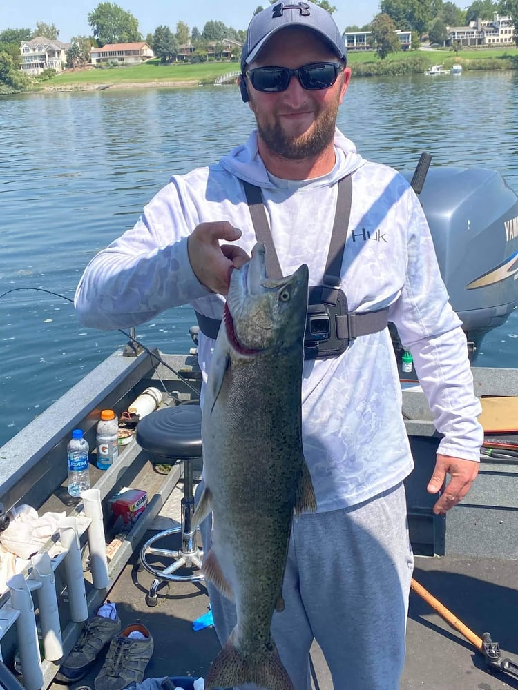 Tri Cities Fall Chinook In Richland