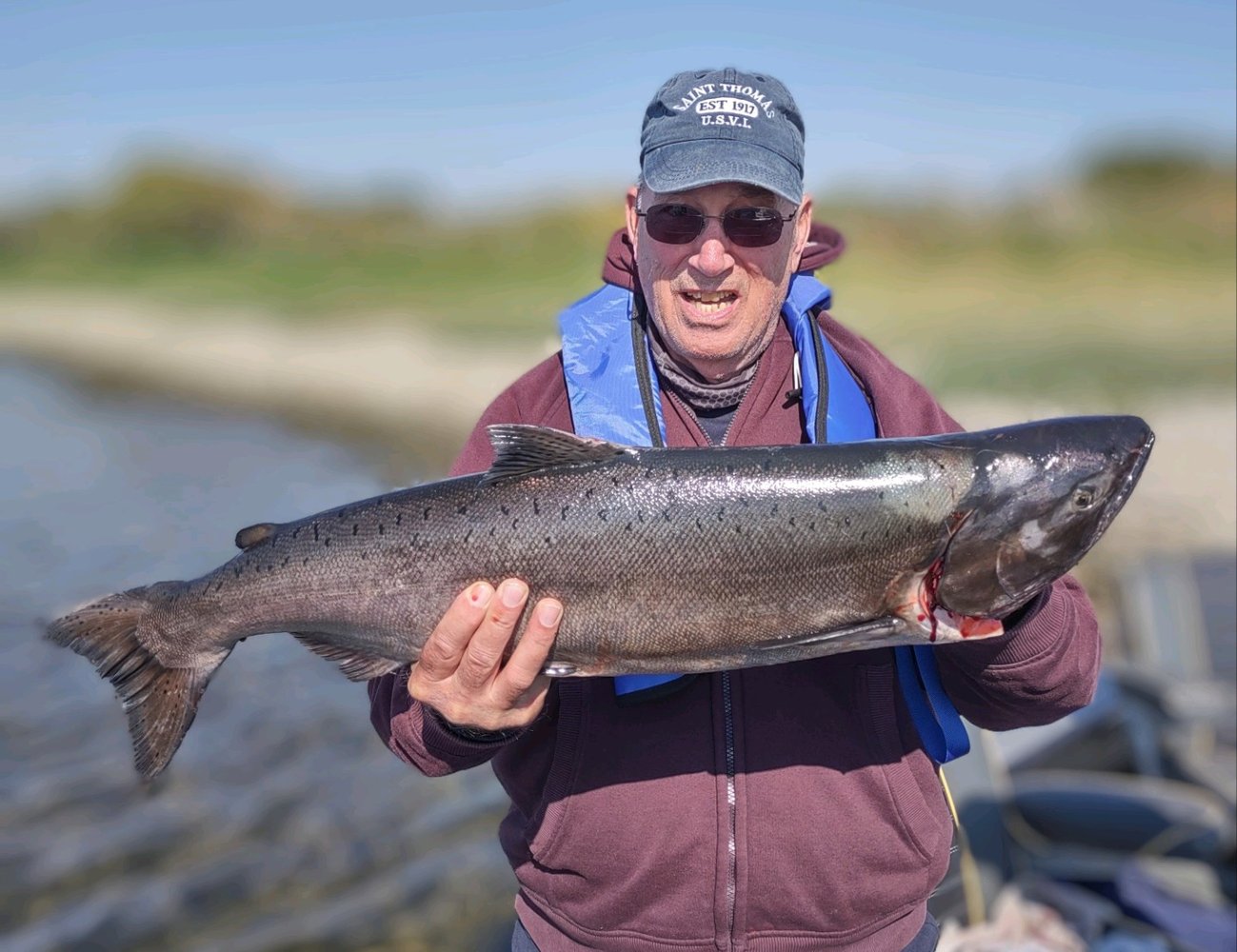 Tri Cities Fall Chinook In Richland