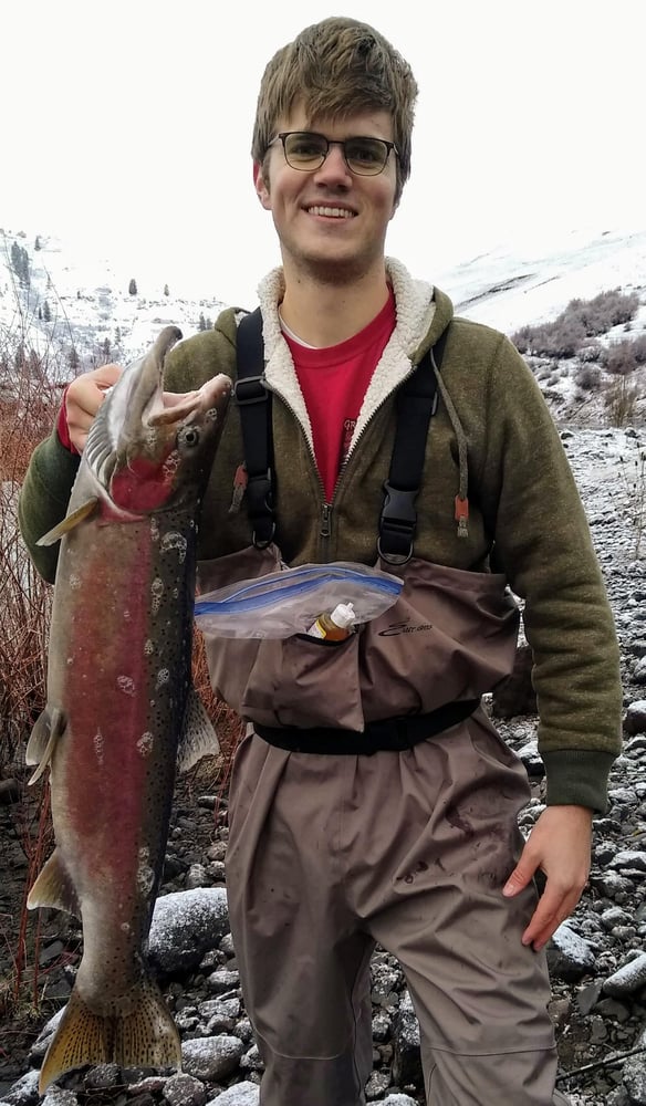 Snake River Fall & Winter Steelhead In Burbank