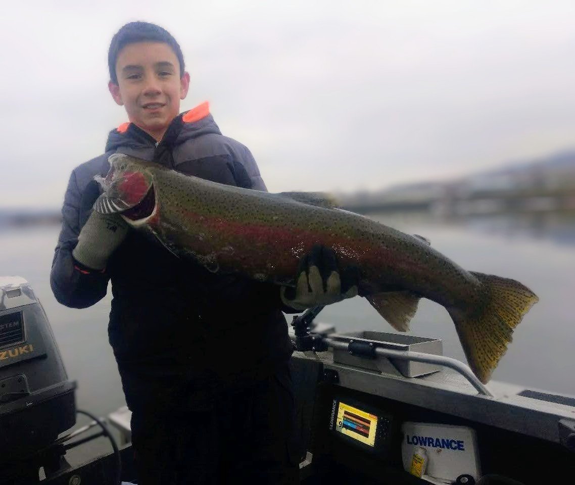 Snake River Fall & Winter Steelhead In Burbank