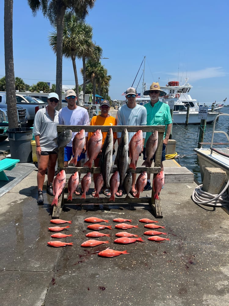 8hr Bottom Fishing Trip In Panama City