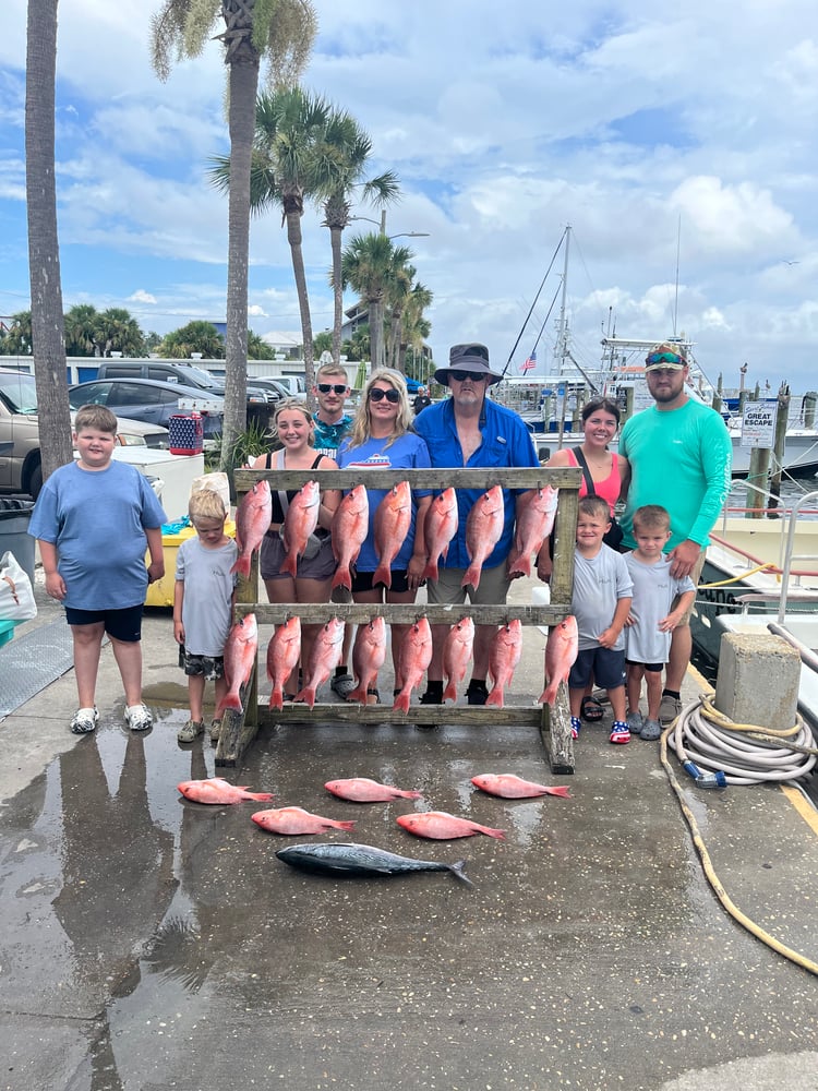 Full Day Bottom Fishing In Panama City