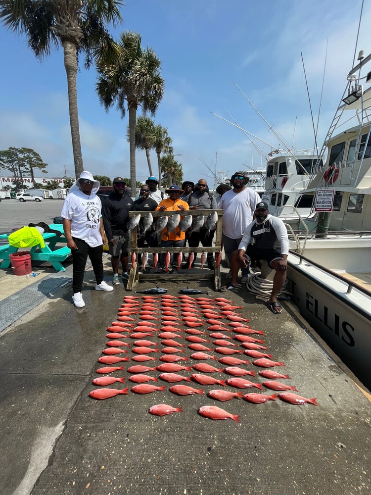 Full Day Bottom Fishing In Panama City