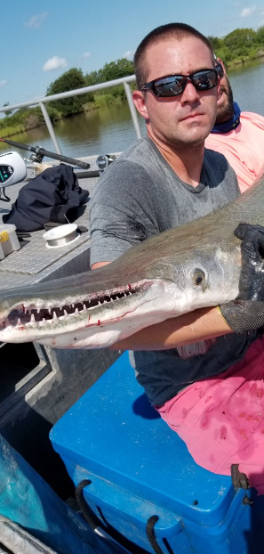 "Alpha" Alligator Gar Bowfishing In Houston