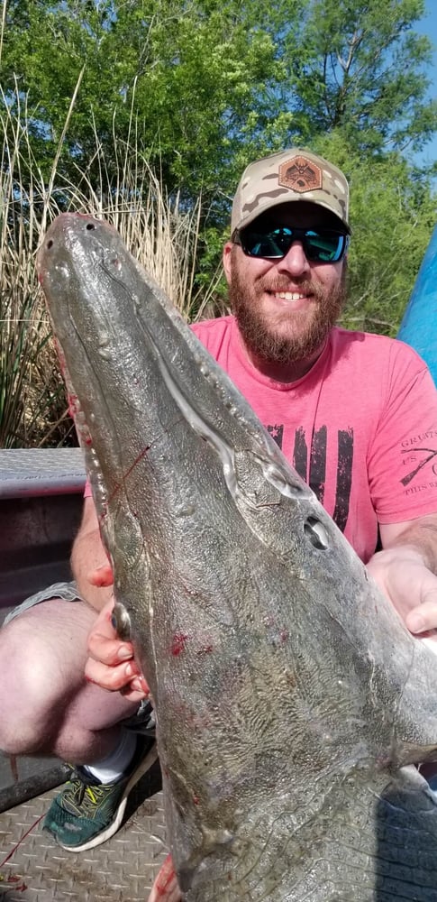 "Alpha" Alligator Gar Bowfishing In Houston