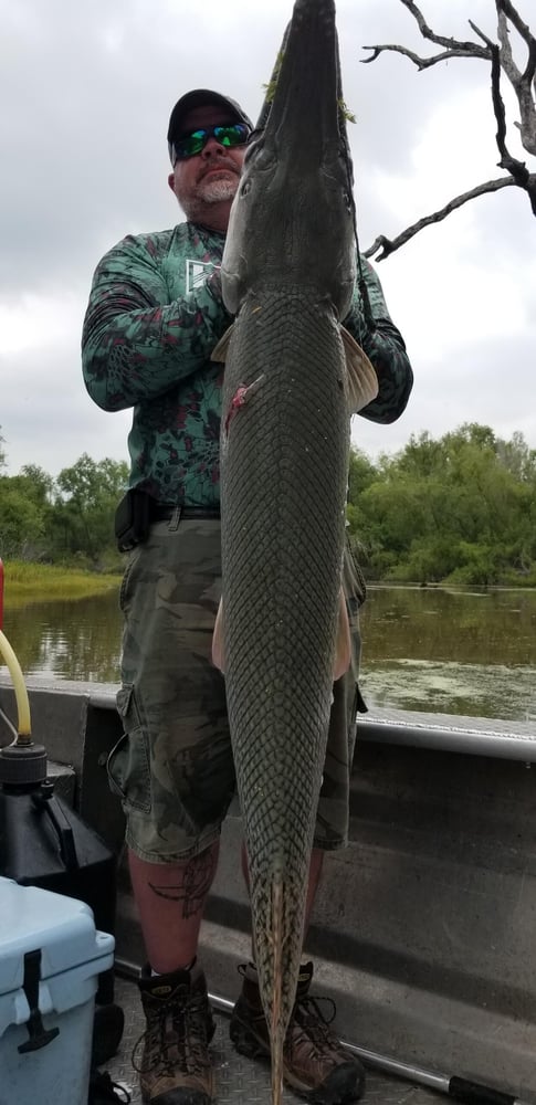 "Alpha" Alligator Gar Bowfishing In Houston