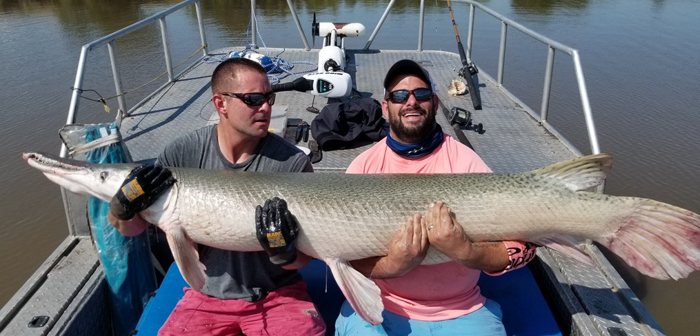 3 Day Alligator Gar Bowfishing In Houston