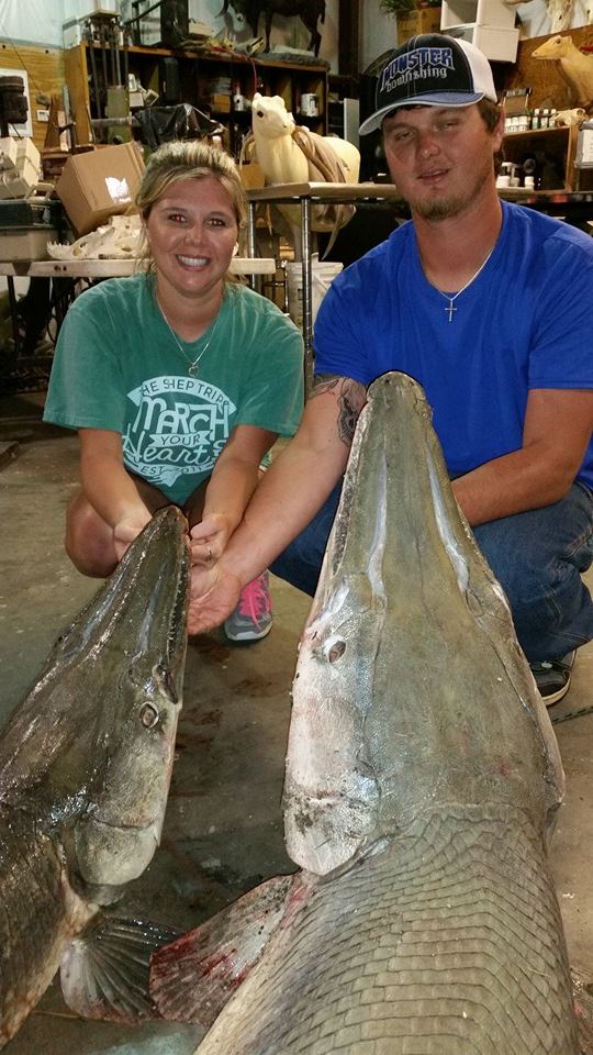 3 Day Alligator Gar Bowfishing In Houston