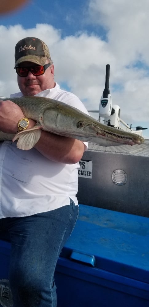 "Alpha" Alligator Gar Bowfishing In Houston