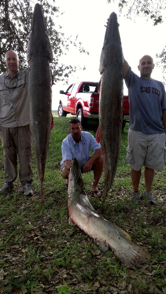 3 Day Alligator Gar Bowfishing In Houston