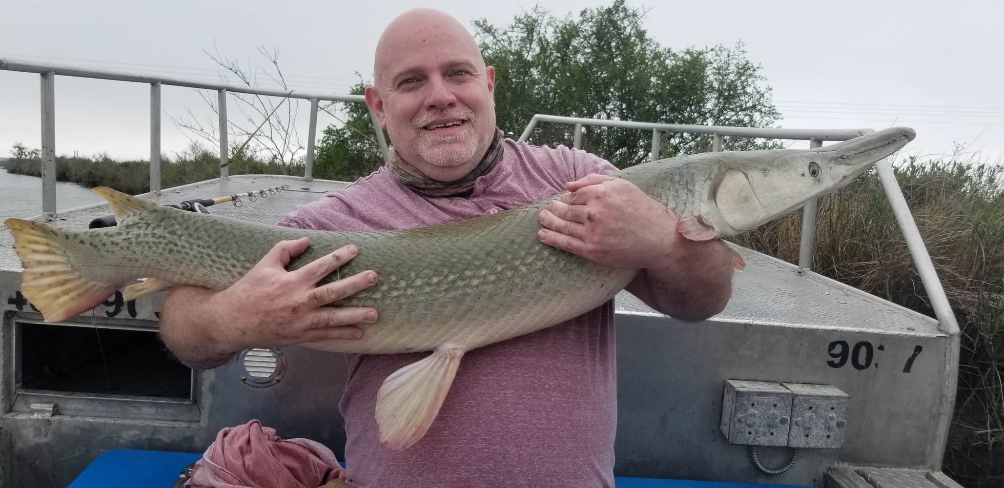 "Alpha" Alligator Gar Bowfishing In Houston