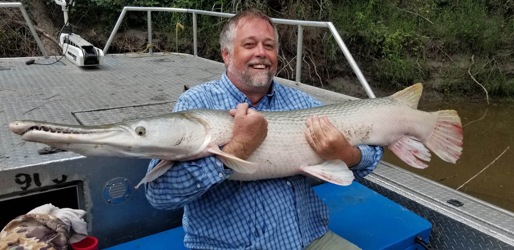 Trophy Alligator Gar Bowfishing In Houston