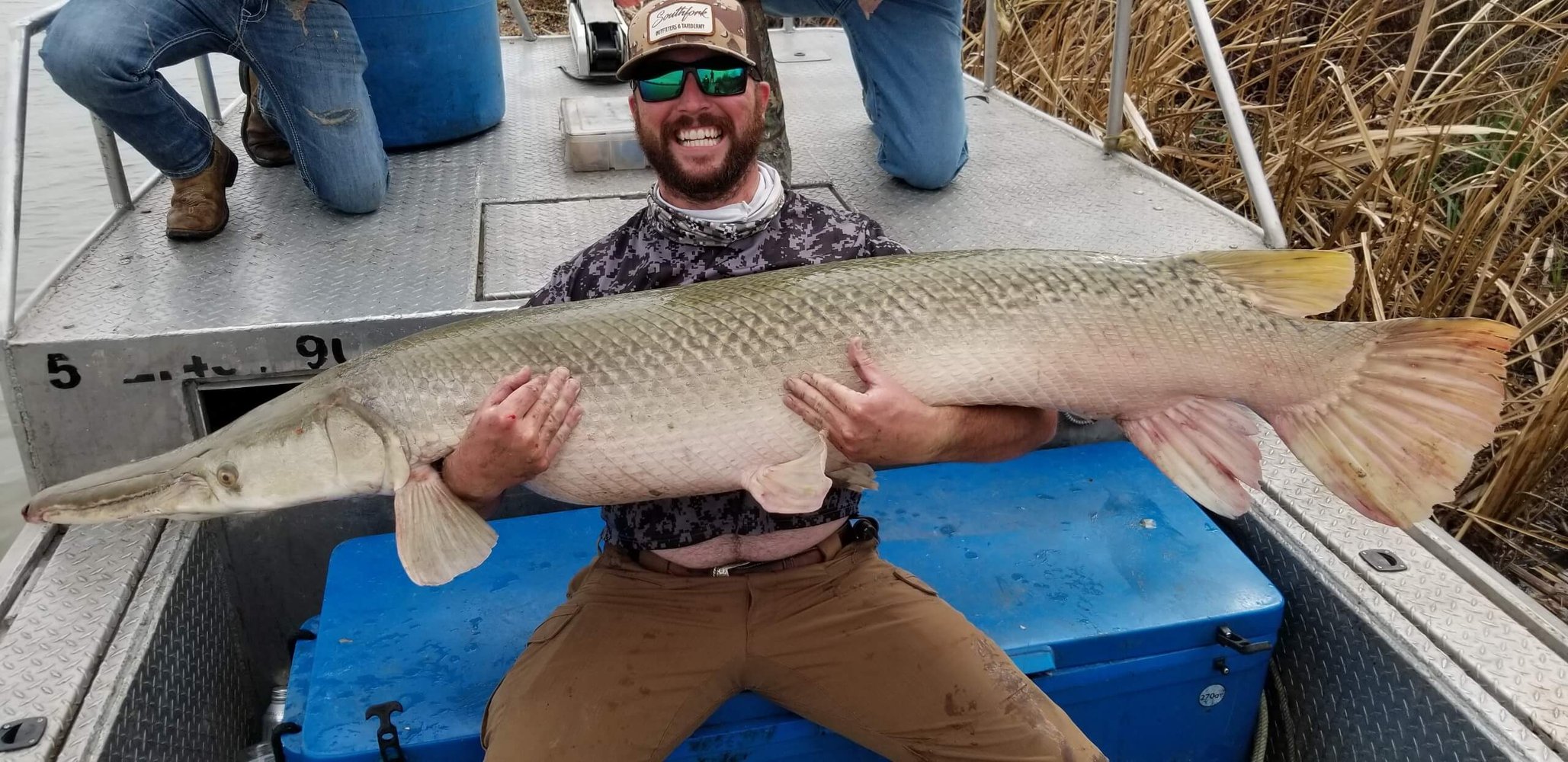 Trophy Alligator Gar Bowfishing In Houston