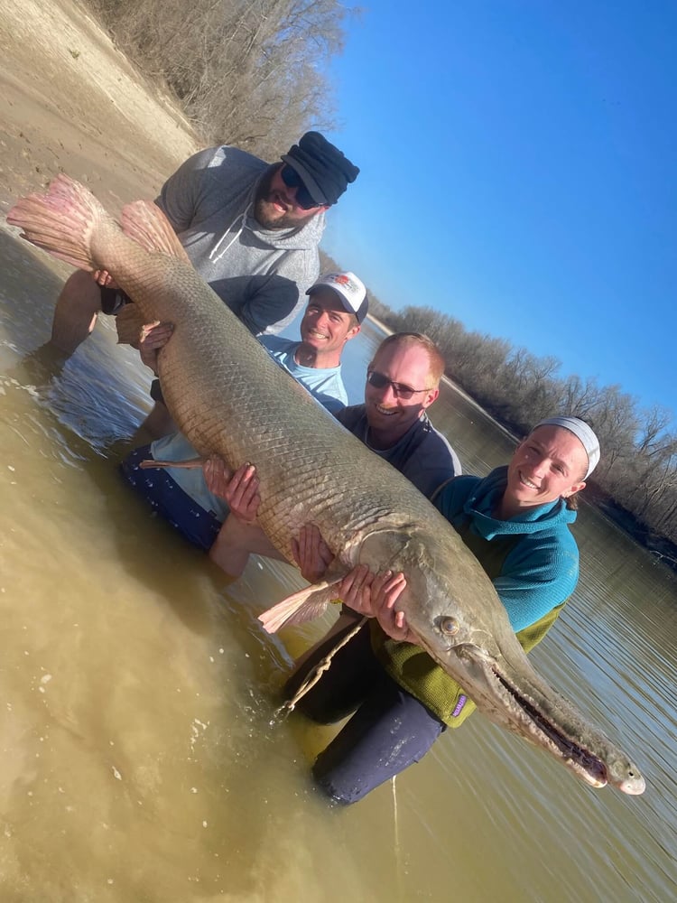 "Alpha" Alligator Gar Bowfishing In Houston