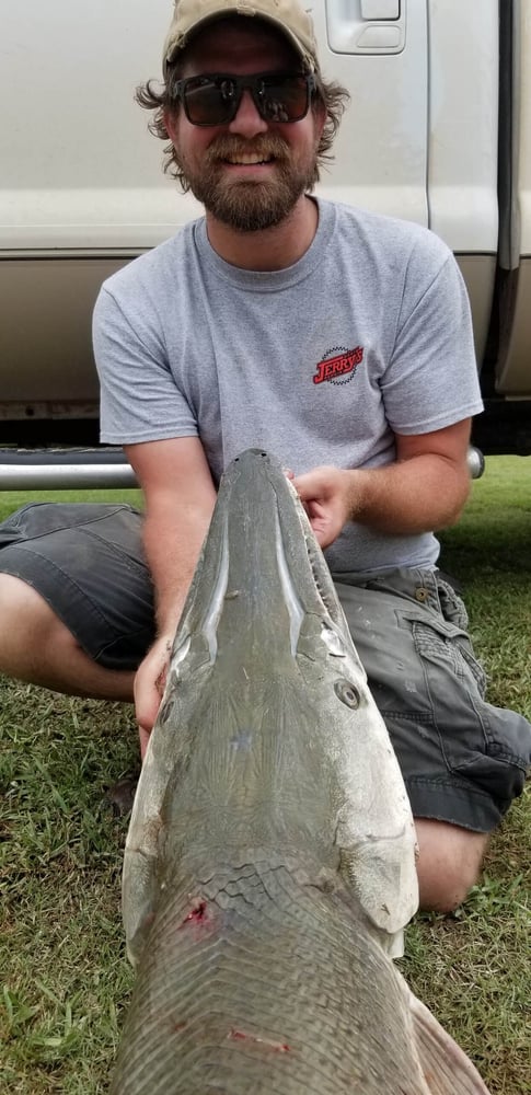 "Alpha" Alligator Gar Bowfishing In Houston