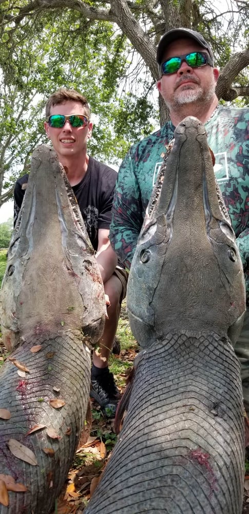 "Alpha" Alligator Gar Bowfishing In Houston