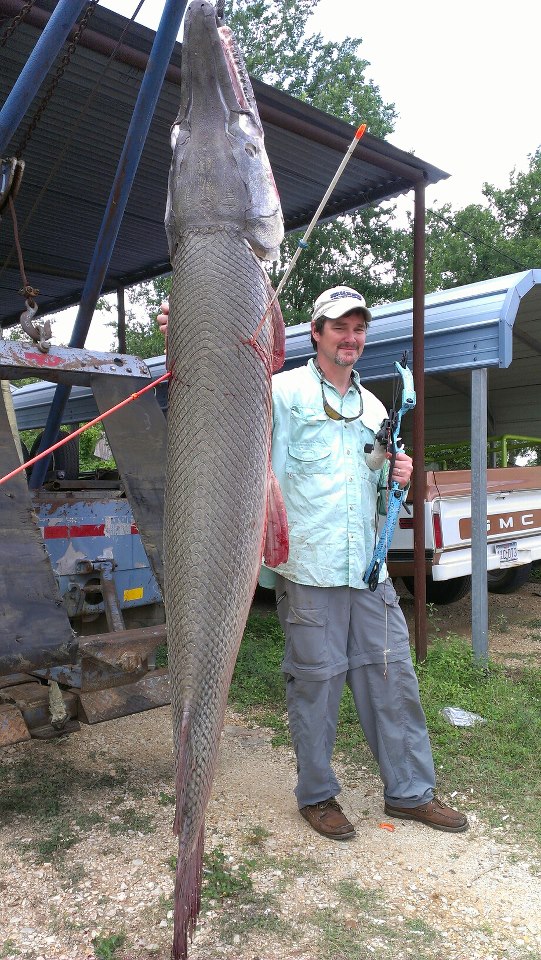 3 Day Alligator Gar Bowfishing In Houston