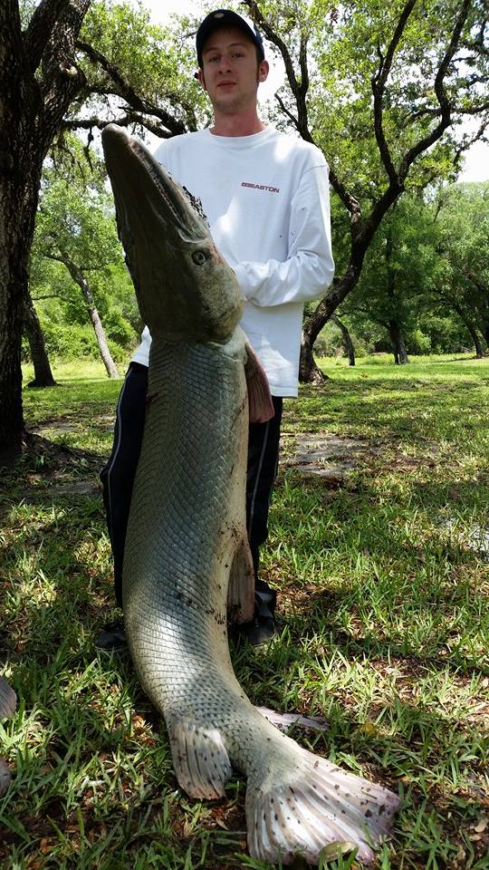 3 Day Alligator Gar Bowfishing In Houston