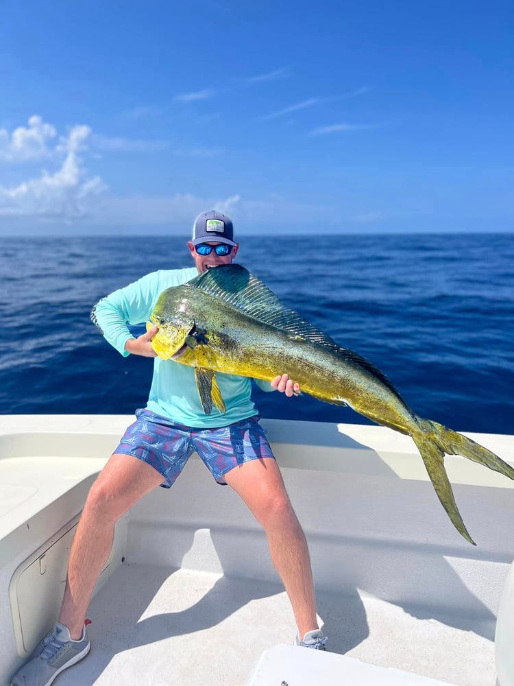 Offshore Snapper - 32' Cat In Freeport