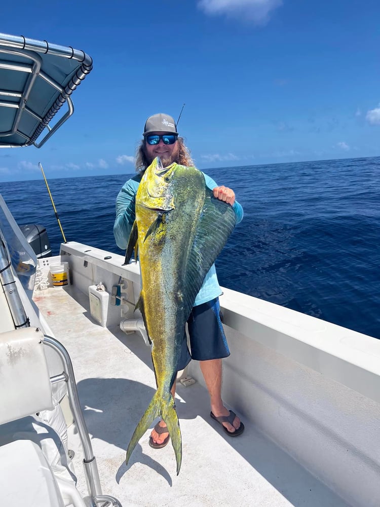 Offshore Snapper - 32' Cat In Freeport