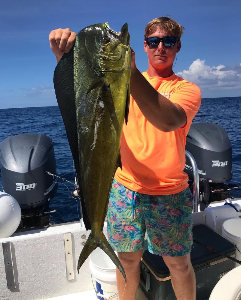 Offshore Snapper - 32' Cat In Freeport