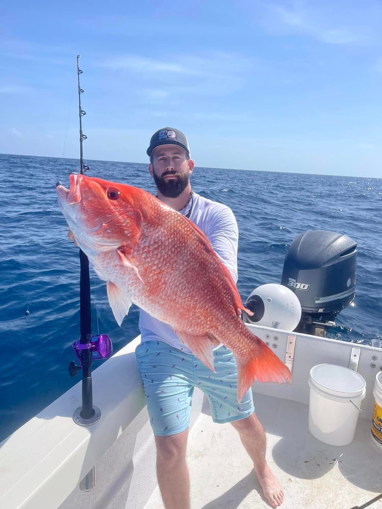 Offshore Snapper - 32' Cat In Freeport