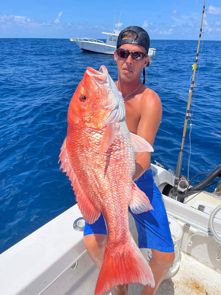 Offshore Snapper - 32' Cat In Freeport