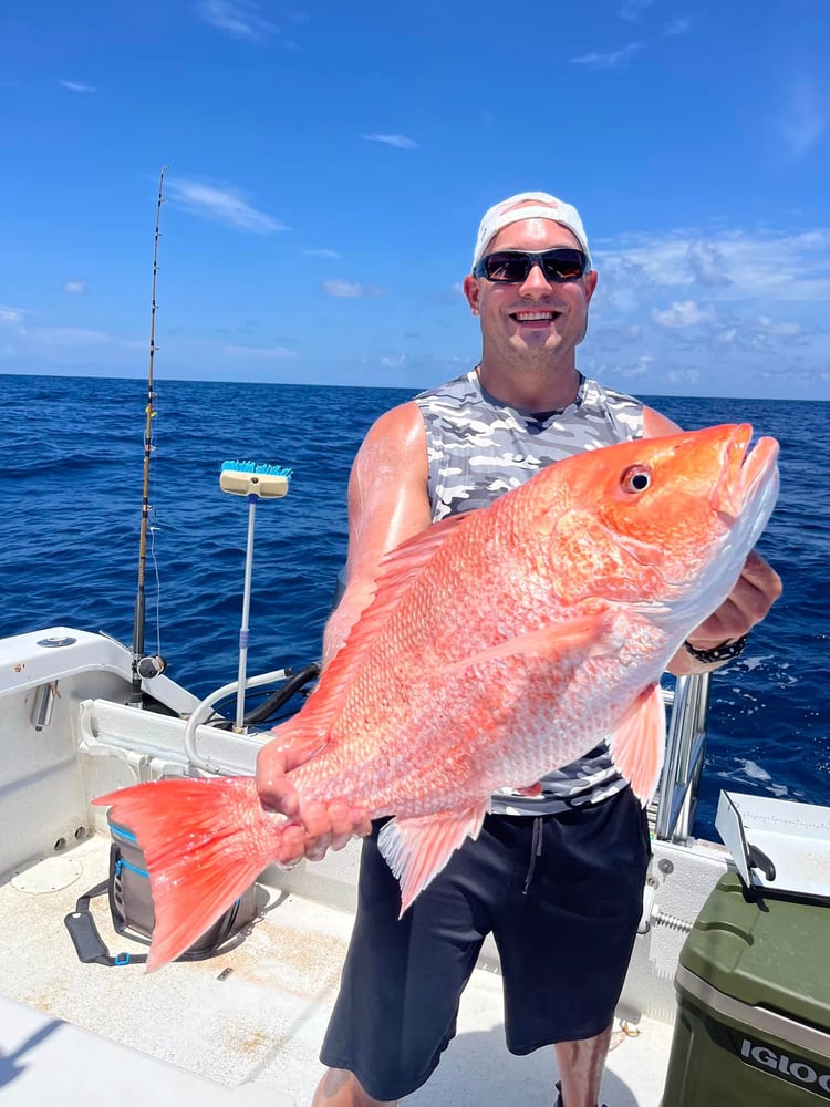 Offshore Snapper - 32' Cat In Freeport