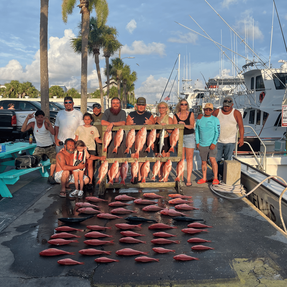 Full Day Bottom Fishing In Panama City