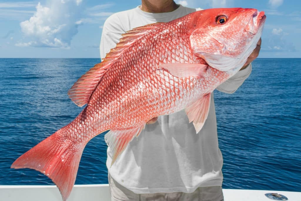 Family Fishing Sarasota / Siesta Key In Sarasota