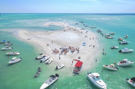 Family Fishing Sarasota / Siesta Key In Sarasota