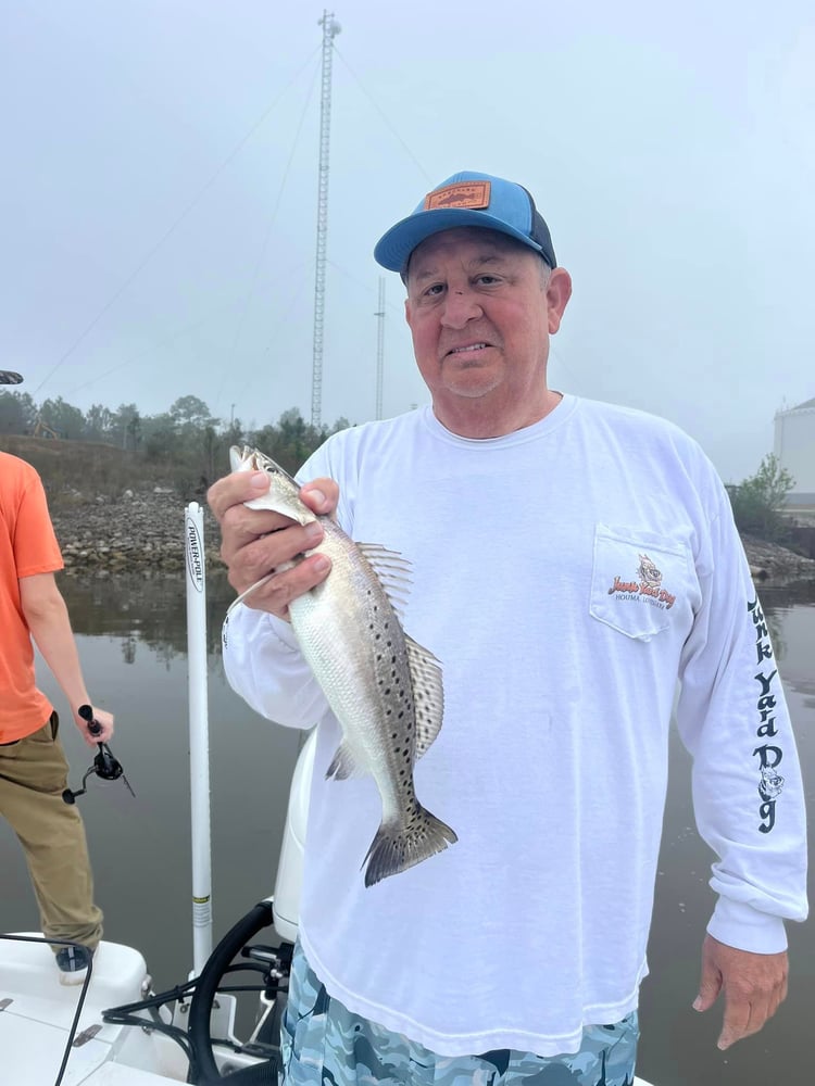 Dauphin Island Inshore Fishing Trip In Dauphin Island