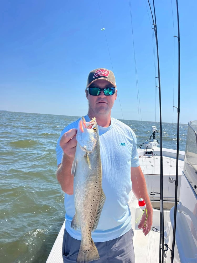 Dauphin Island Inshore Fishing Trip In Dauphin Island