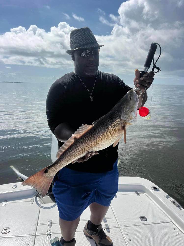 Dauphin Island Inshore Fishing Trip In Dauphin Island