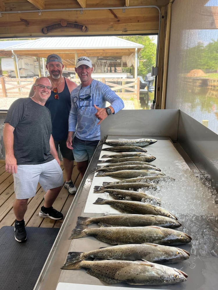 Dauphin Island Inshore Fishing Trip In Dauphin Island