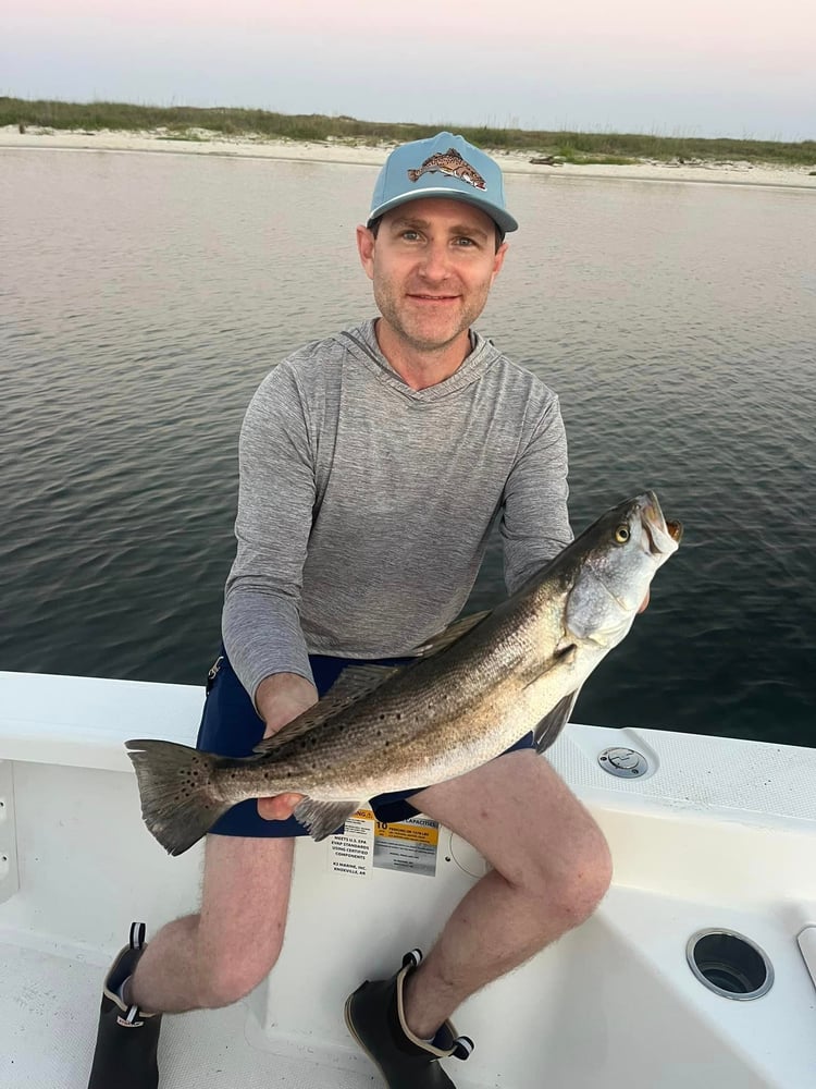 Dauphin Island Inshore Fishing Trip In Dauphin Island