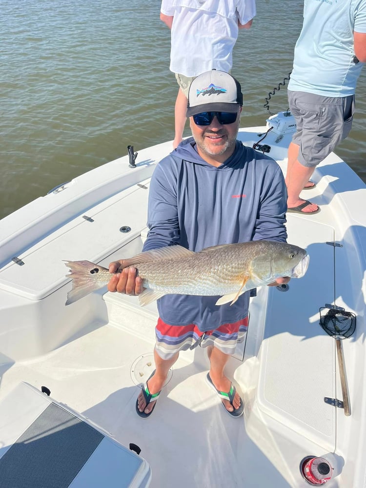 Dauphin Island Inshore Fishing Trip In Dauphin Island